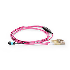 1M MPO-4LC Duplex OM4 50/125 Multimode Fiber Optic Harness Fan-out/Breakout Cable, 8 Fiber, Type B, Female, LSZH-Magenta